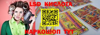 шишки Кингисепп