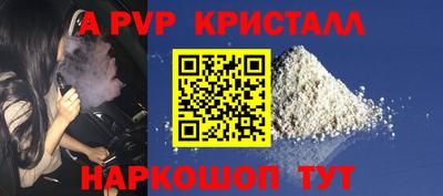 шишки Кингисепп