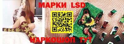 шишки Кингисепп