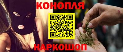 шишки Кингисепп