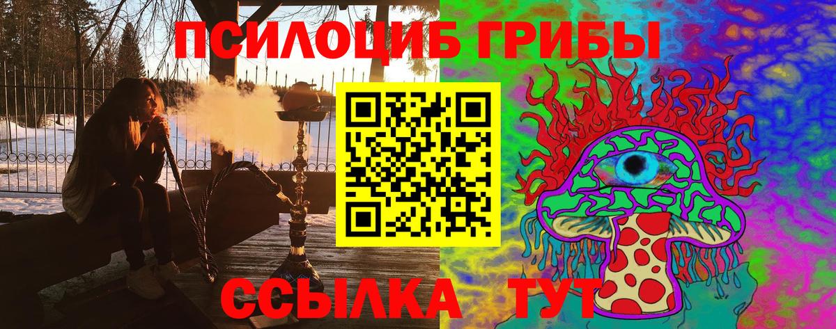 Ленинск-Кузнецкий  Псилоцибиновые грибы Magic Shrooms  Псилоцибиновые грибы Psilocybe  Вход с VPN 